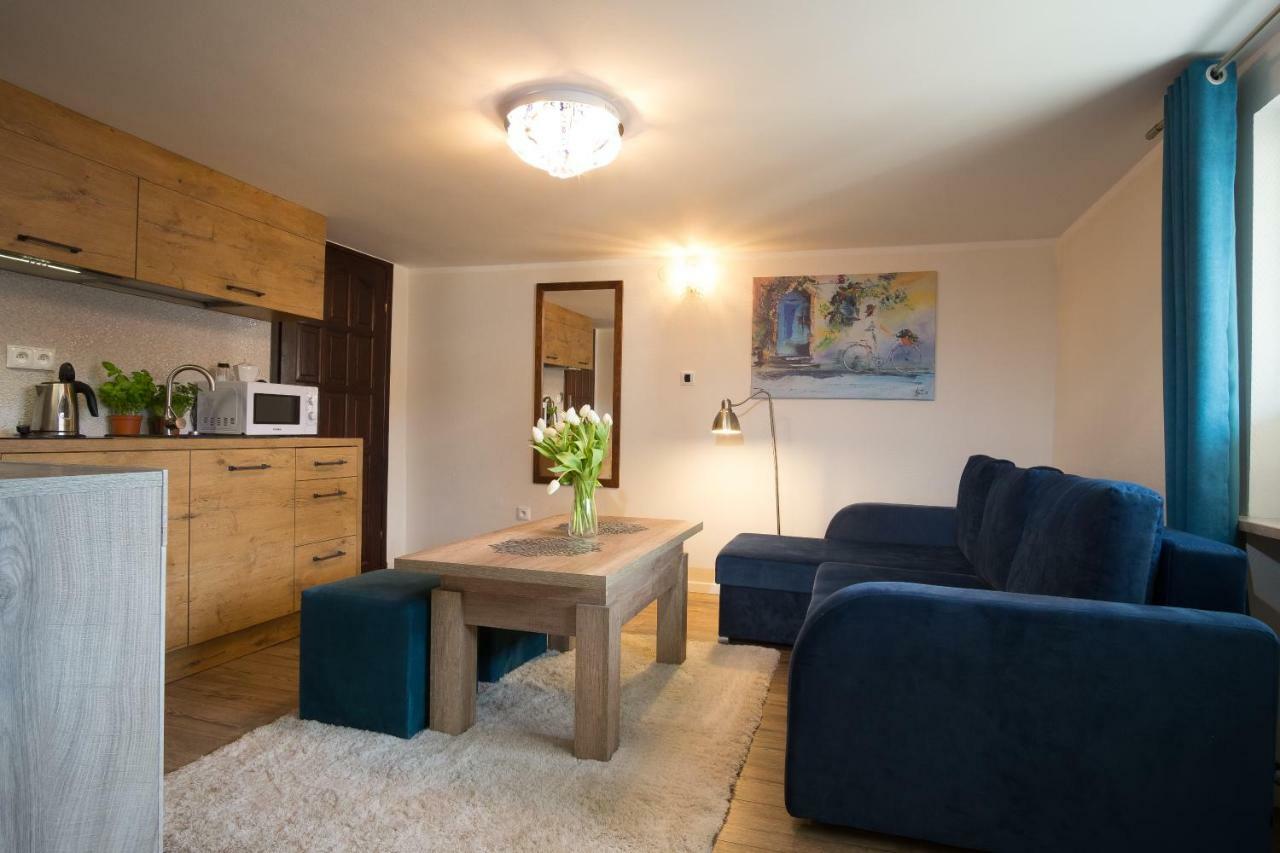 Apartamenty Ciche Wzgorze 扎科帕内 外观 照片